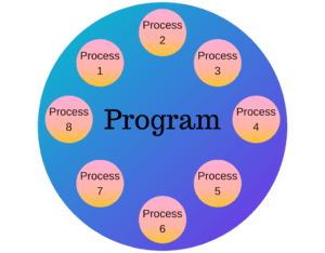 Program and Process