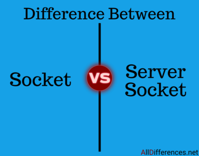 Socket and Server Socket Difference
