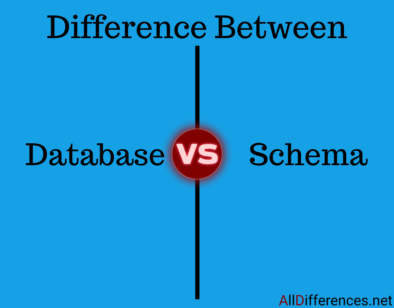 Database And Schema